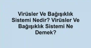 Virüsler Ve Bağışıklık Sistemi Nedir? Virüsler Ve Bağışıklık Sistemi Ne Demek?