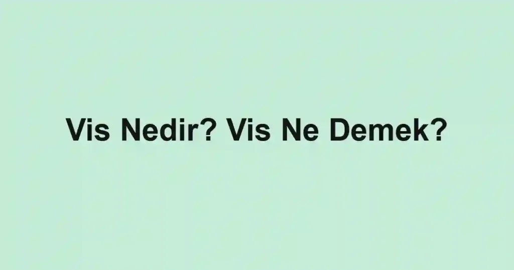 Vis Nedir? Vis Ne Demek?
