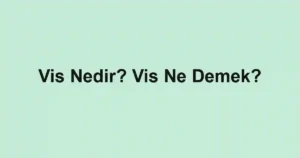 Vis Nedir? Vis Ne Demek?