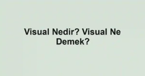 Visual Nedir? Visual Ne Demek?
