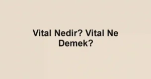 Vital Nedir? Vital Ne Demek?