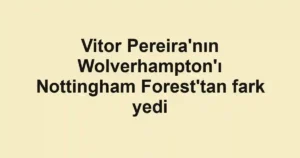 Vitor Pereira'nın Wolverhampton'ı Nottingham Forest'tan fark yedi