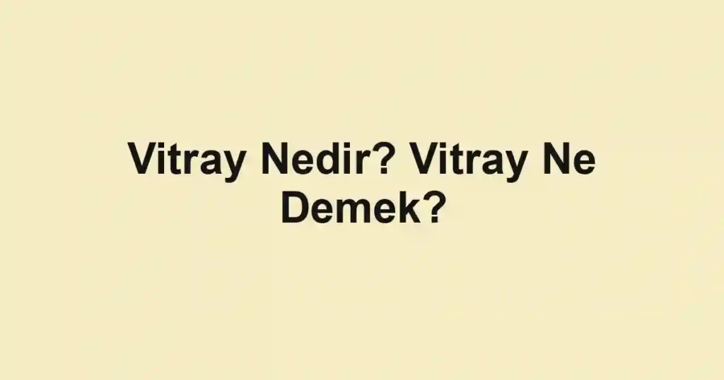 Vitray Nedir? Vitray Ne Demek?