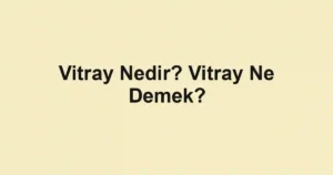 Vitray Nedir? Vitray Ne Demek?