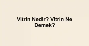 Vitrin Nedir? Vitrin Ne Demek?