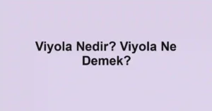 Viyola Nedir? Viyola Ne Demek?