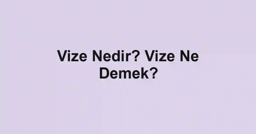 Vize Nedir? Vize Ne Demek?