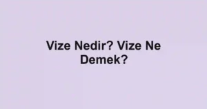 Vize Nedir? Vize Ne Demek?