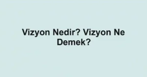 Vizyon Nedir? Vizyon Ne Demek?