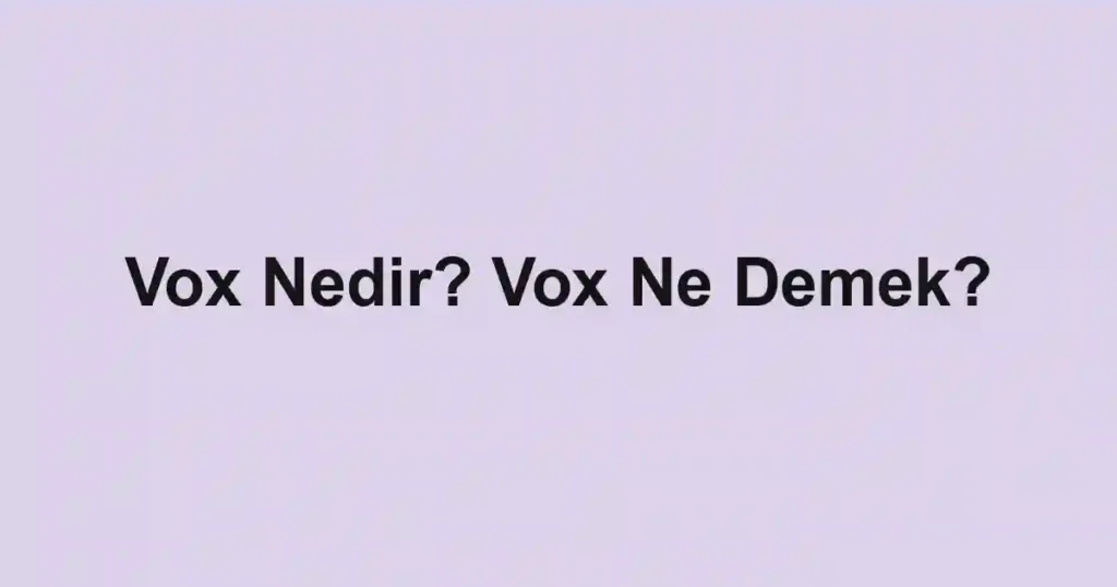 Vox Nedir? Vox Ne Demek?
