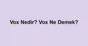 Vox Nedir? Vox Ne Demek?