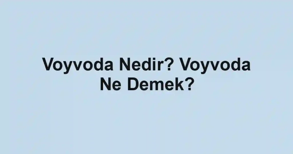 Voyvoda Nedir? Voyvoda Ne Demek?