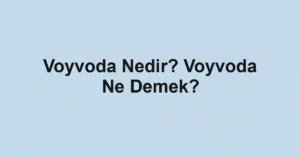 Voyvoda Nedir? Voyvoda Ne Demek?