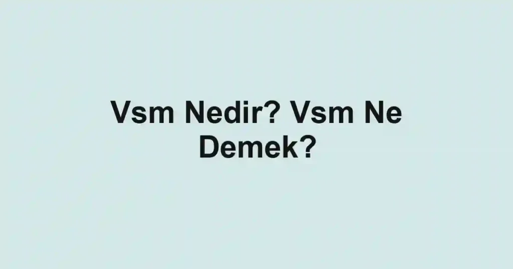 Vsm Nedir? Vsm Ne Demek?