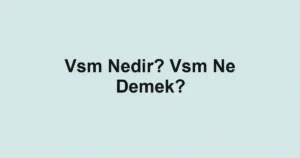 Vsm Nedir? Vsm Ne Demek?