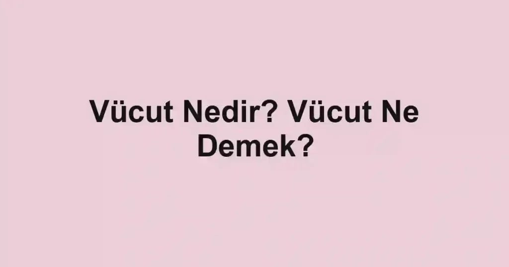 Vücut Nedir? Vücut Ne Demek?