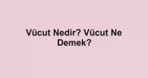Vücut Nedir? Vücut Ne Demek?