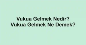 Vukua Gelmek Nedir? Vukua Gelmek Ne Demek?