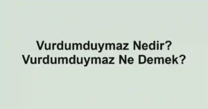 Vurdumduymaz Nedir? Vurdumduymaz Ne Demek?