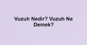 Vuzuh Nedir? Vuzuh Ne Demek?