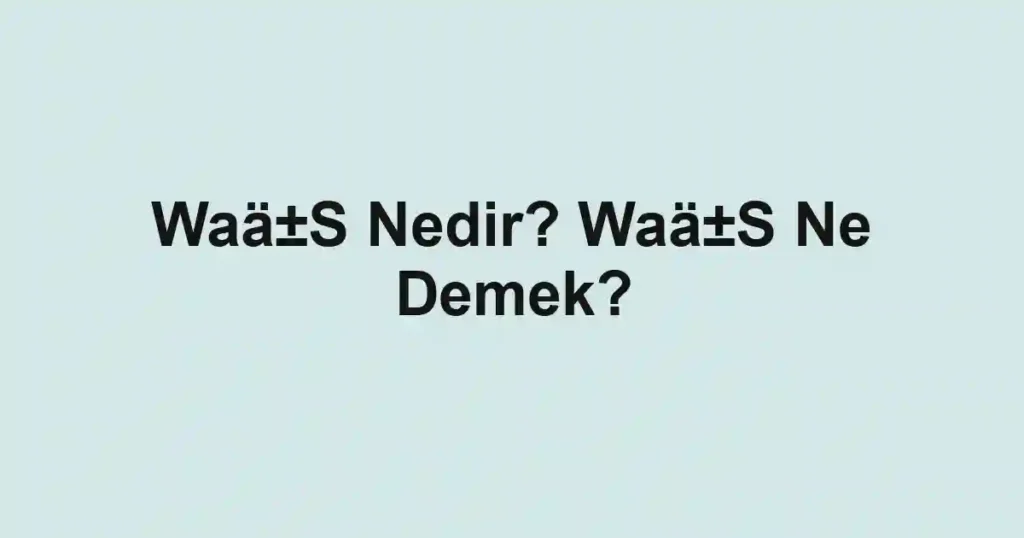 Waä±S Nedir? Waä±S Ne Demek?