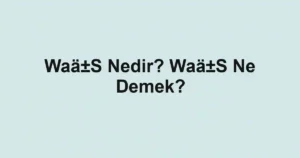 Waä±S Nedir? Waä±S Ne Demek?