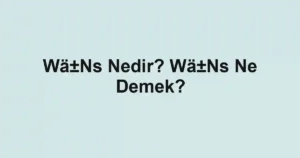 Wä±Ns Nedir? Wä±Ns Ne Demek?