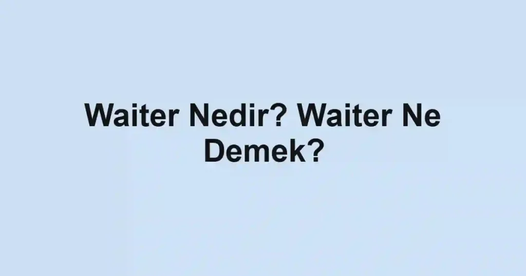 Waiter Nedir? Waiter Ne Demek?