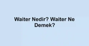Waiter Nedir? Waiter Ne Demek?