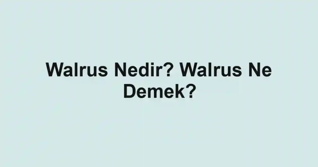 Walrus Nedir? Walrus Ne Demek?