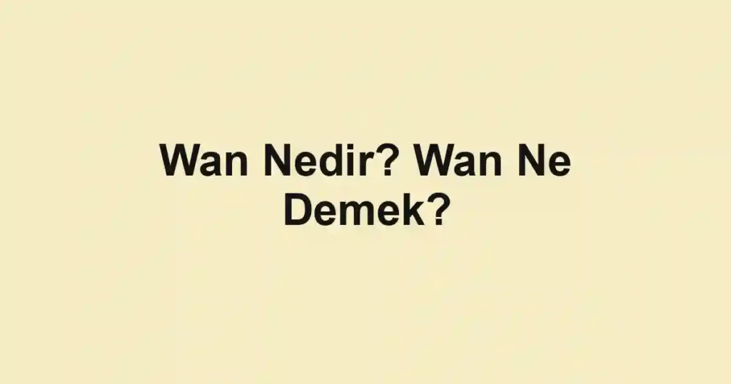 Wan Nedir? Wan Ne Demek?
