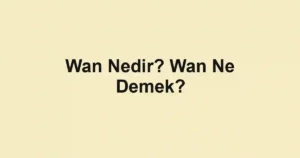 Wan Nedir? Wan Ne Demek?