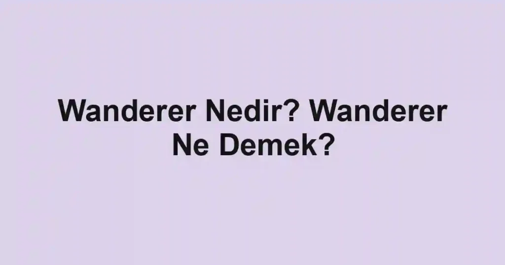 Wanderer Nedir? Wanderer Ne Demek?