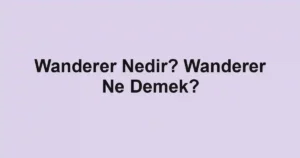 Wanderer Nedir? Wanderer Ne Demek?