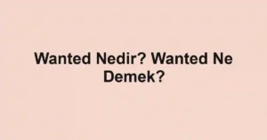 Wanted Nedir? Wanted Ne Demek?