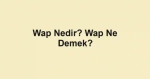 Wap Nedir? Wap Ne Demek?