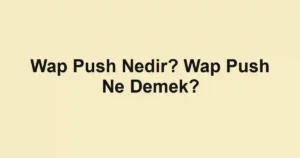 Wap Push Nedir? Wap Push Ne Demek?