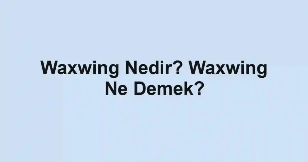 Waxwing Nedir? Waxwing Ne Demek?