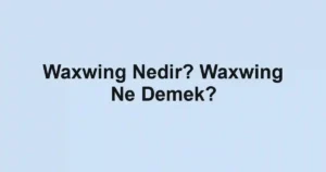 Waxwing Nedir? Waxwing Ne Demek?