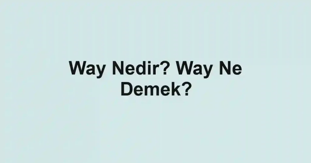 Way Nedir? Way Ne Demek?