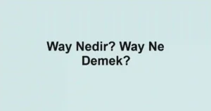 Way Nedir? Way Ne Demek?