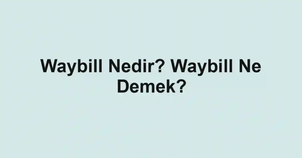Waybill Nedir? Waybill Ne Demek?