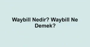Waybill Nedir? Waybill Ne Demek?