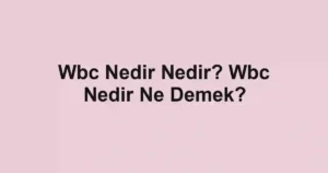 Wbc Nedir Nedir? Wbc Nedir Ne Demek?