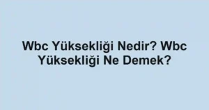 Wbc Yüksekliği Nedir? Wbc Yüksekliği Ne Demek?
