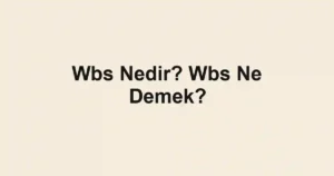 Wbs Nedir? Wbs Ne Demek?
