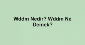 Wddm Nedir? Wddm Ne Demek?