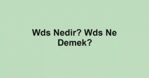 Wds Nedir? Wds Ne Demek?