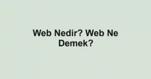 Web Nedir? Web Ne Demek?