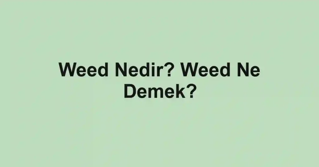 Weed Nedir? Weed Ne Demek?